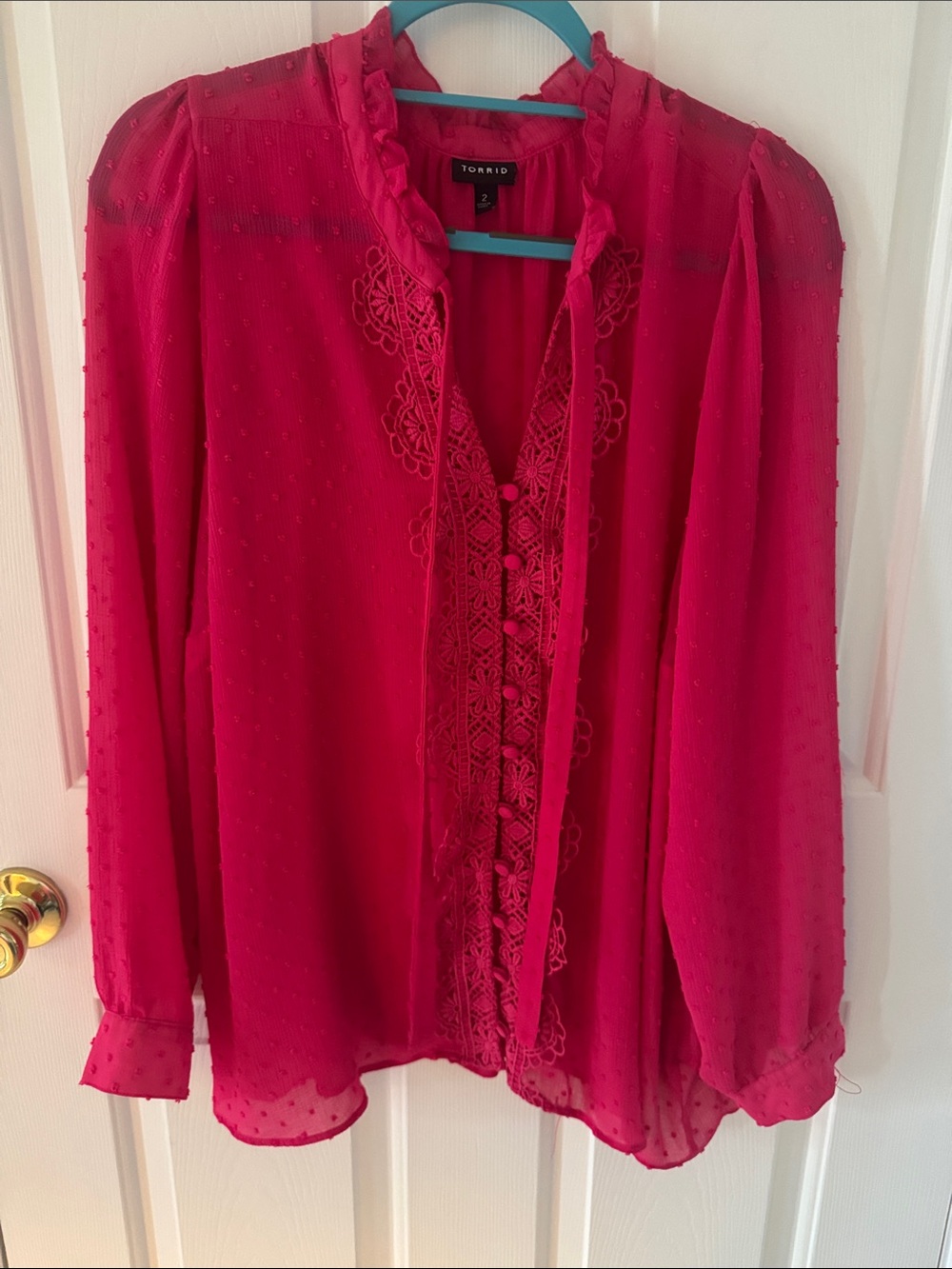 Torrid Sheer Swiss Dot Shirt size 2